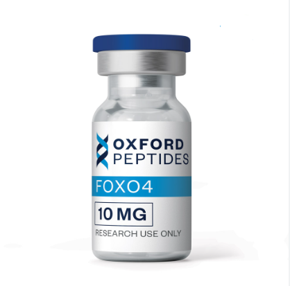 FOXO4